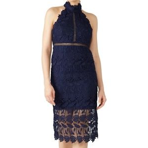 BRAND NEW Bardot Lace Panel Dress Gemma Dress Blue Ink